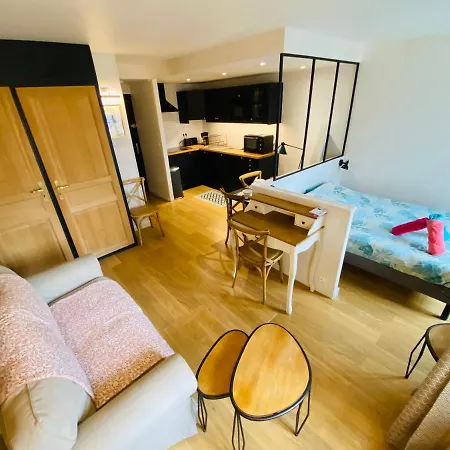 Apartment Au Nom De La Rose - Superbe Studio Centre - 197